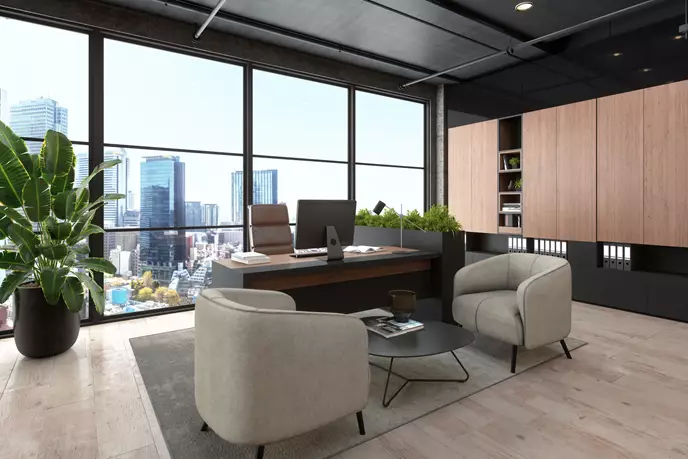 Executive Office Space